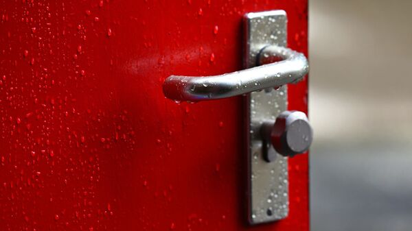 Une porte (image d'illustration) - Sputnik Afrique