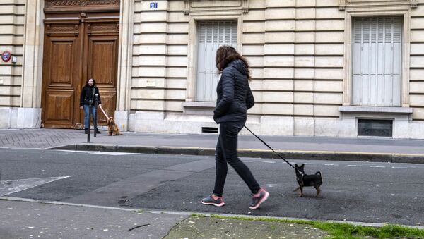 Des femmes promènent leurs chiens pendant le confinement à Paris - Sputnik Afrique