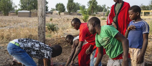 Des employés d'un abattoir dans la région de Gazawa, au Cameroun. - Sputnik Afrique