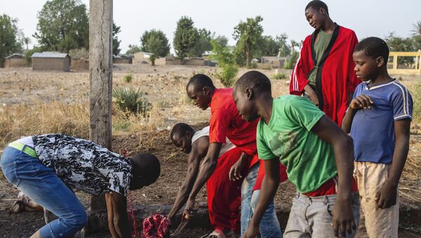 Des employés d'un abattoir dans la région de Gazawa, au Cameroun. - Sputnik Afrique