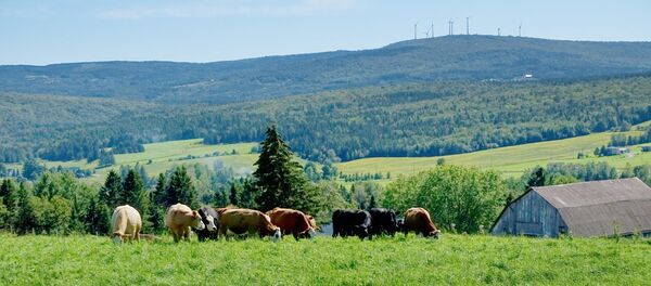 Paysage agricole, Saint-Malachie (Québec), septembre 2019 - Sputnik Afrique