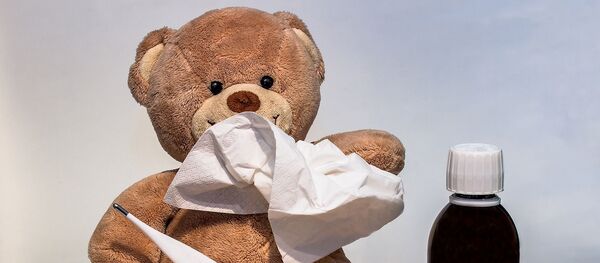 Un ours en peluche - Sputnik Afrique