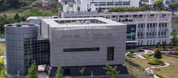 Laboratoire de l’Institut de virologie de Wuhan - Sputnik Afrique