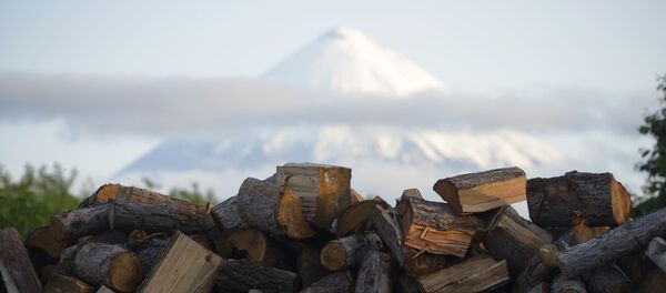 Kamtchatka, Russie - Sputnik Afrique