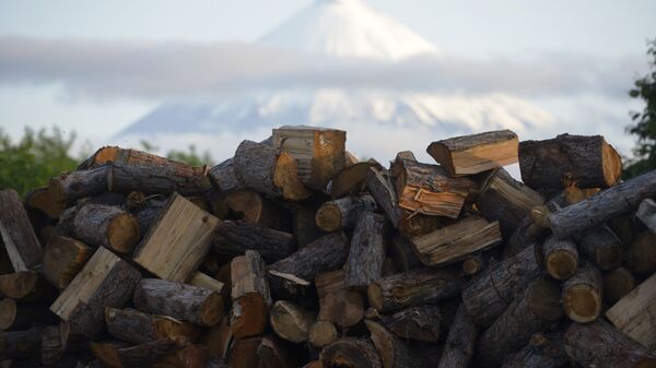 Kamtchatka, Russie - Sputnik Afrique