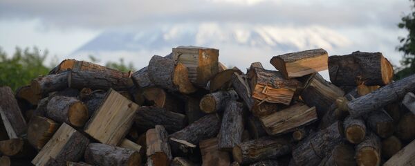 Kamtchatka, Russie - Sputnik Afrique