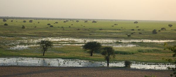 Le parc naturel Waza, au nord du Cameroun. - Sputnik Afrique