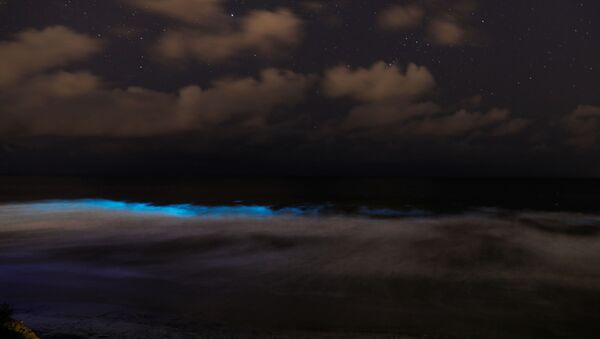 des vagues bioluminescentes en Californie, le 18 avril 2020 - Sputnik Afrique