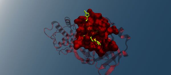 La structure cristalline de la protéase principale du coronavirus 2019-nCoV en complexe avec un inhibiteur N3 (archive photo) - Sputnik Afrique