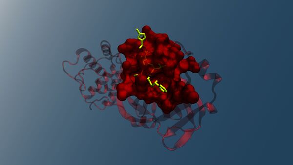 La structure cristalline de la protéase principale du coronavirus 2019-nCoV en complexe avec un inhibiteur N3 (archive photo) - Sputnik Afrique