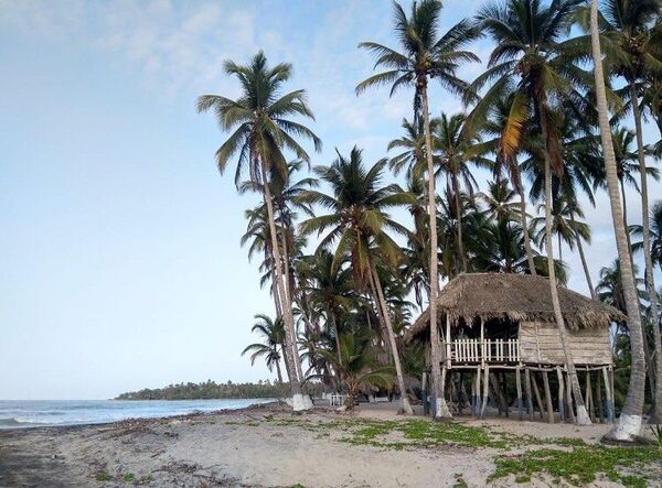 Bloquée par le Covid-19 sur une plage paradisiaque, elle raconte son confinement - photos Bloquée par le Covid-19 sur une plage paradisiaque, elle raconte son confinement - photos - Sputnik Afrique