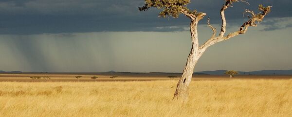Kenya  - Sputnik Afrique