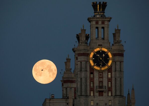 La Lune des fleurs est apparue dans la nuit du 6 au 7 mai. Sur la photo: la pleine lune sur fond de l'université d'Etat Lomonossov de Moscou. - Sputnik Afrique