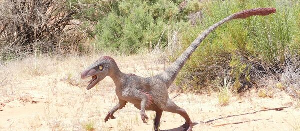 Un raptor - Sputnik Afrique