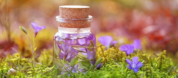 Une décoction (image d'illustration) - Sputnik Afrique