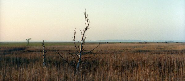 Lolland, Danemark - Sputnik Afrique