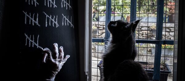 confinement, France (image d'illustration) - Sputnik Afrique