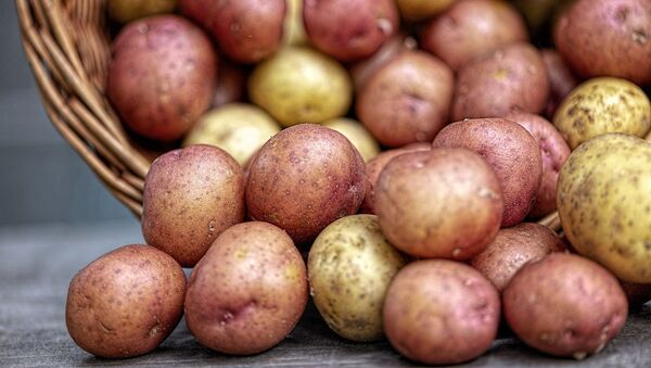 pommes de terre (image d'illustration) - Sputnik Afrique