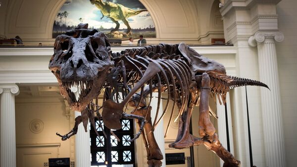 Squelette d'un dinosaure dans un musée - Sputnik Afrique