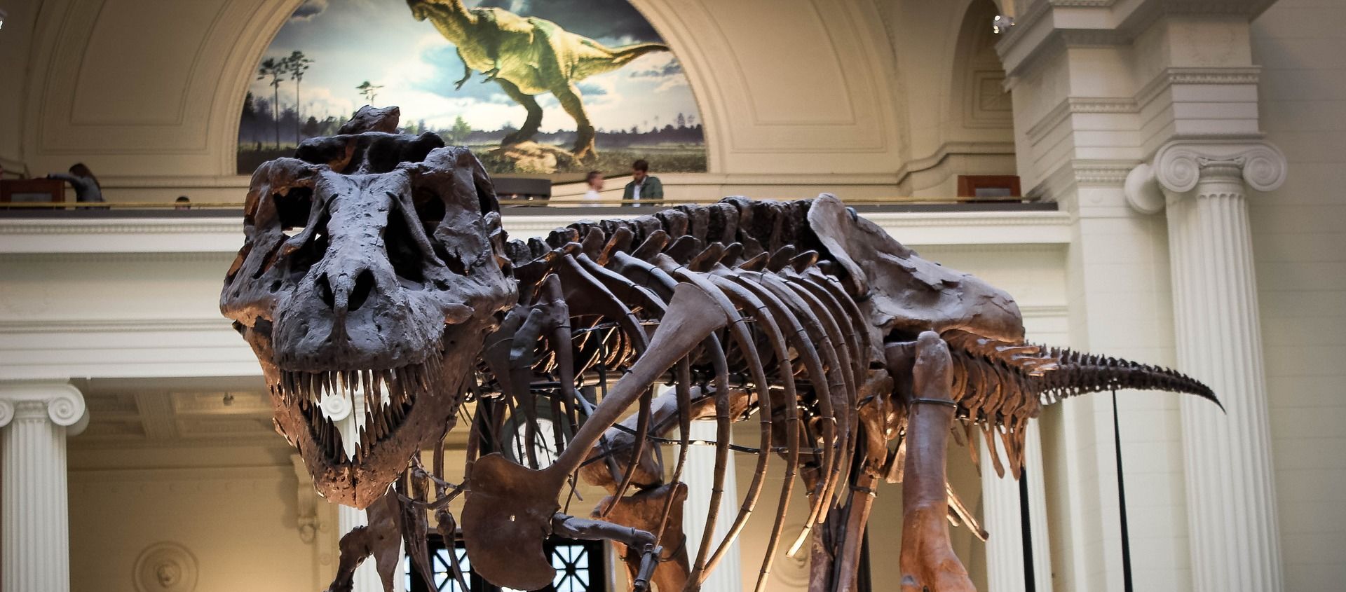 Squelette d'un dinosaure dans un musée - Sputnik Afrique, 1920, 17.05.2020