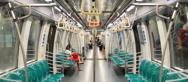 Les passagers dans le métro  - Sputnik Afrique