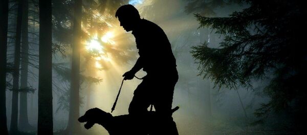 L'homme dans une forêt, image d'illustration - Sputnik Afrique