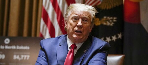 Donald Trump - Sputnik Afrique