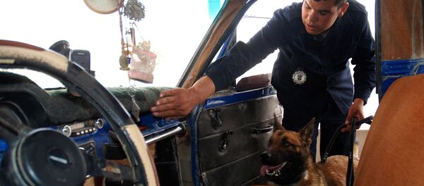 Un officier des douanes tunisien - Sputnik Afrique