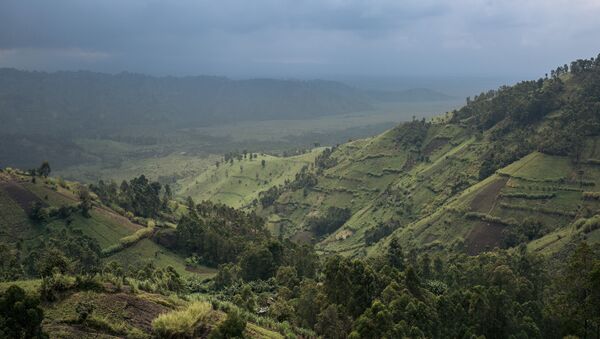 Le parc national des Virunga, au nord-ouest de la RDC. - Sputnik Afrique