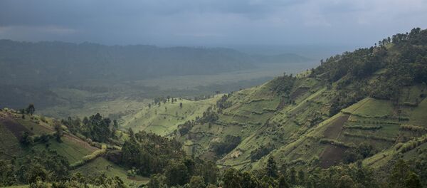 Le parc national des Virunga, au nord-ouest de la RDC. Le parc national des Virunga, au nord-ouest de la RDC. - Sputnik Afrique