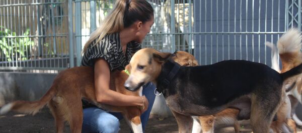 Audrey Monteuil, fondatrice du Comité de protection des animaux de Côte d'Ivoire (CPA-CI) - Sputnik Afrique