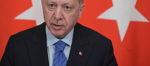 Recep Tayyip Erdogan - Sputnik Afrique