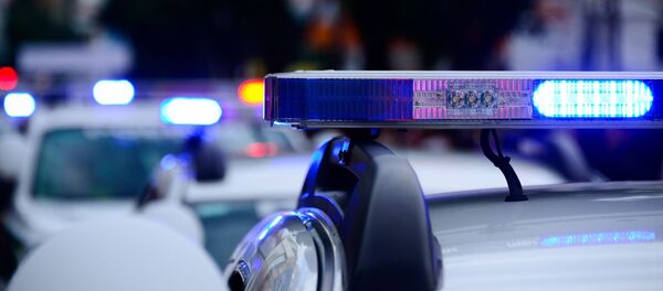 police - Sputnik Afrique