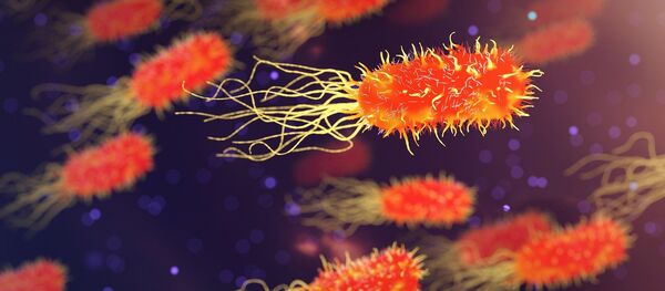 Une bactérie (image d'illustration) - Sputnik Afrique