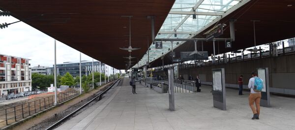 Gare La Plaine-Stade de France (archive photo) - Sputnik Afrique