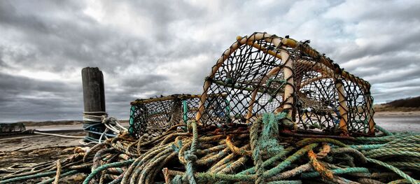 Matériel de pêche - Sputnik Afrique