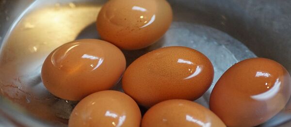 Des œufs  - Sputnik Afrique