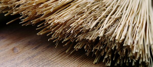 Balais - Sputnik Afrique