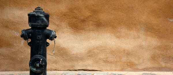 Une bouche d'incendie - Sputnik Afrique