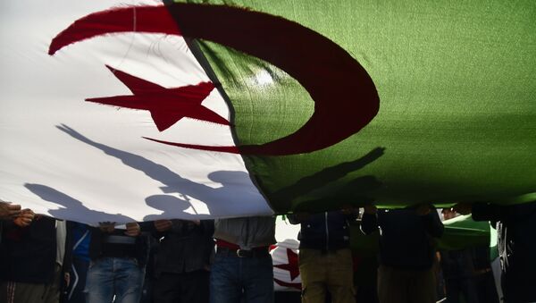 Le drapeau de l'Algérie - Sputnik Afrique