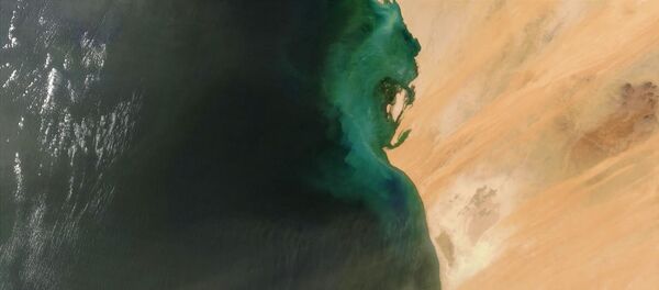 Littoral Sénégal et Gambie - Sputnik Afrique