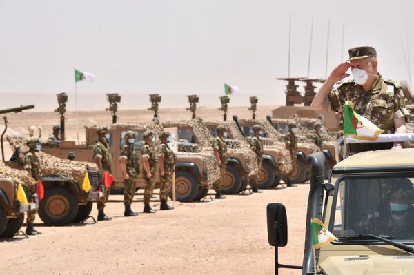 L'armée algérienne mène des manœuvres pas comme les autres - images L'armée algérienne mène des manœuvres pas comme les autres - images - Sputnik Afrique