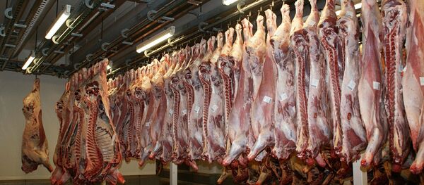 A l'abattoir - Sputnik Afrique