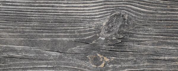 Une planche de bois - Sputnik Afrique