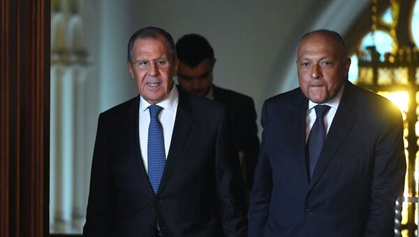 Sergueï Lavrov et Sameh Choukri (photo d'archives) - Sputnik Afrique