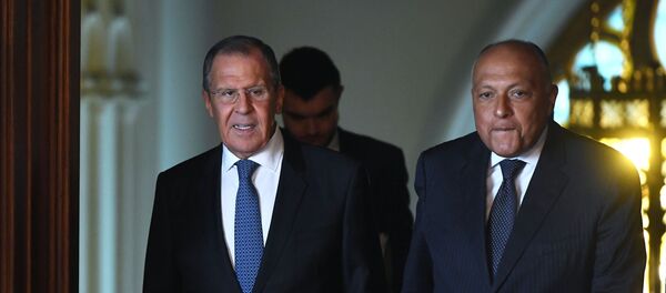 Sergueï Lavrov et Sameh Choukri (photo d'archives) - Sputnik Afrique