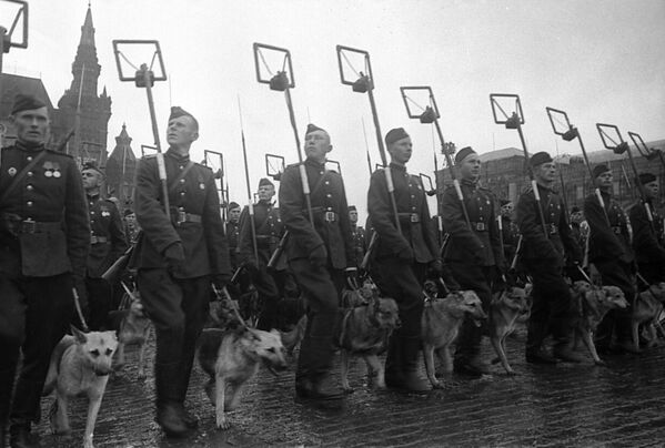 Mineurs avec les chiens du service de déminage lors du défilé de la Victoire sur la place Rouge, 24 juin 1945. - Sputnik Afrique
