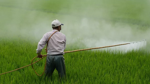 Épandage herbicide dans un champ - Sputnik Afrique