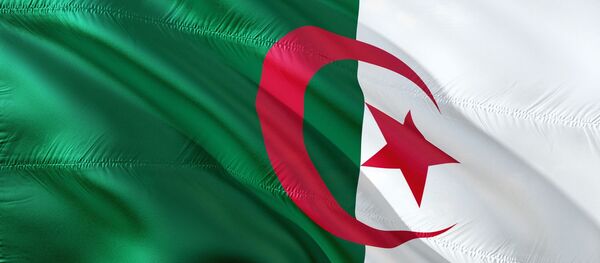 Drapeau aglérien - Sputnik Afrique