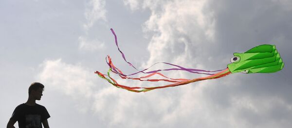 Un cerf-volant  - Sputnik Afrique